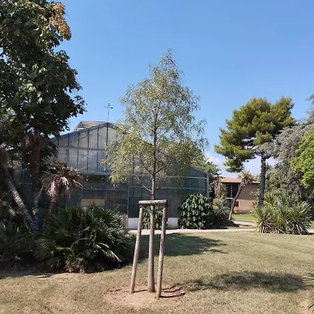 A Proximite Du Jardin Olbius Riquier Hyères