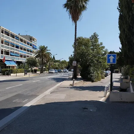 A Proximite Du Jardin Olbius Riquier Hyères