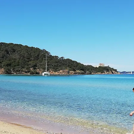 A Proximite Du Jardin Olbius Riquier Hyères
