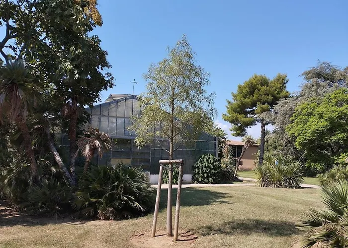 A Proximite Du Jardin Olbius Riquier Hyères