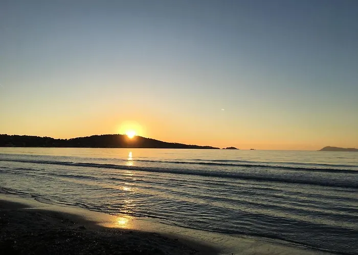 A Proximite Du Jardin Olbius Riquier Lejlighed *