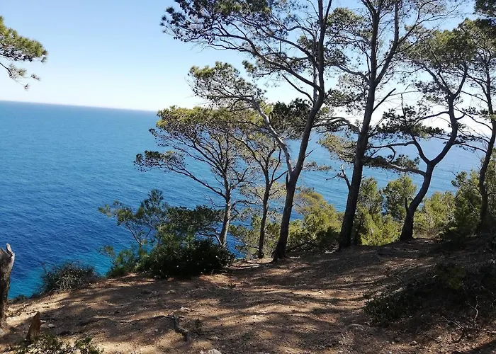 Lejlighed A Proximite Du Jardin Olbius Riquier *