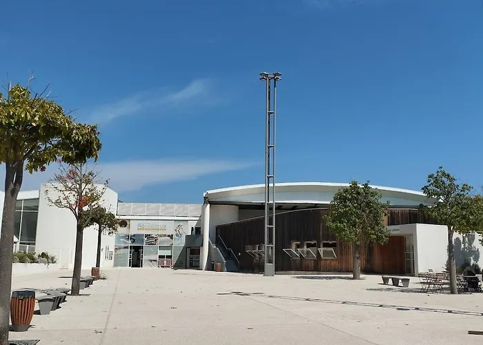 A Proximite Du Jardin Olbius Riquier Lejlighed Hyères