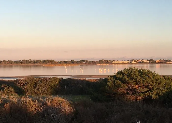 A Proximite Du Jardin Olbius Riquier Lejlighed *