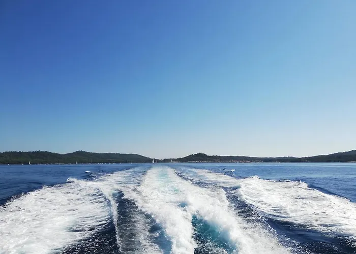 A Proximite Du Jardin Olbius Riquier Hyères