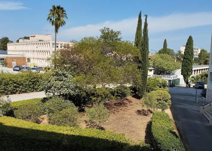 A Proximite Du Jardin Olbius Riquier Lejlighed Hyères