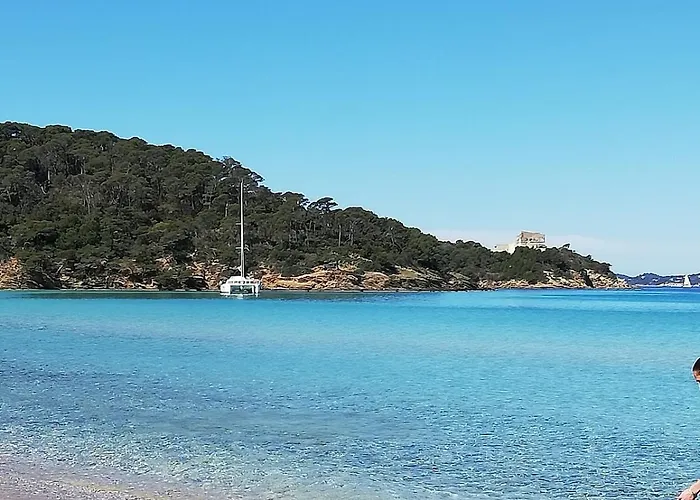 A Proximite Du Jardin Olbius Riquier Hyères